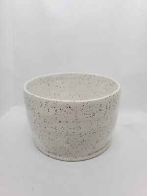 Speckled bowl